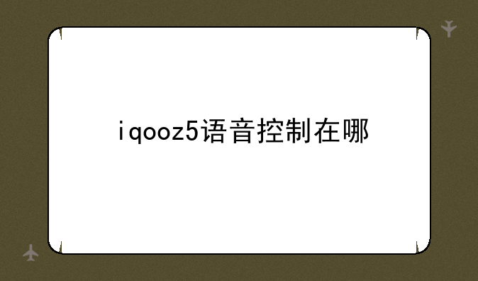 iqooz5语音控制在哪