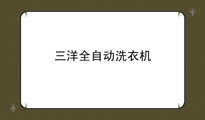 三洋全自动洗衣机