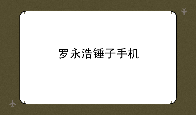 罗永浩锤子手机