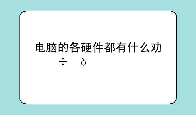 电脑的各硬件都有什么功能？