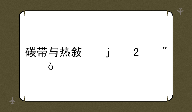 碳带与热敏的区别？