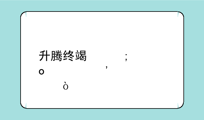 升腾终端怎样进入安全模式