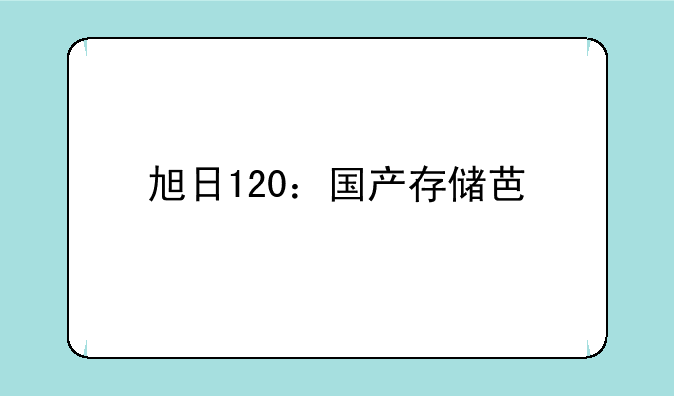 旭日120：国产存储芯片的崛起之路