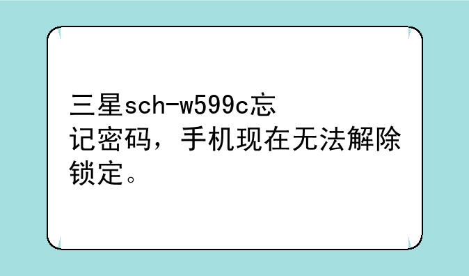 三星sch-w599c忘记密码，手机现在无法解除锁定。