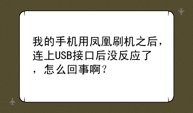 我的手机用凤凰刷机之后，连上USB接口后没反应了，怎么回事啊？