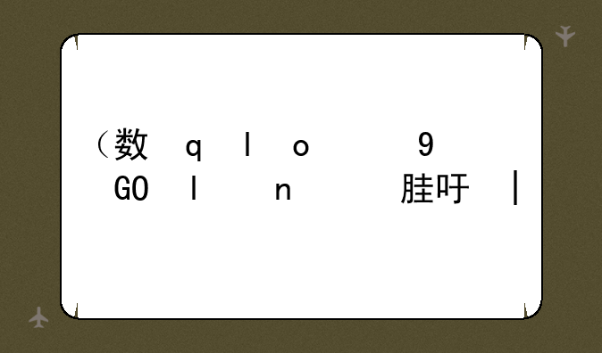 （数字电视手机）数字电