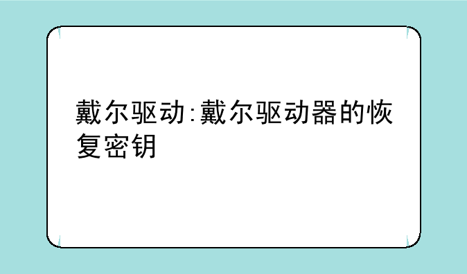 戴尔驱动:戴尔驱动器的恢复密钥
