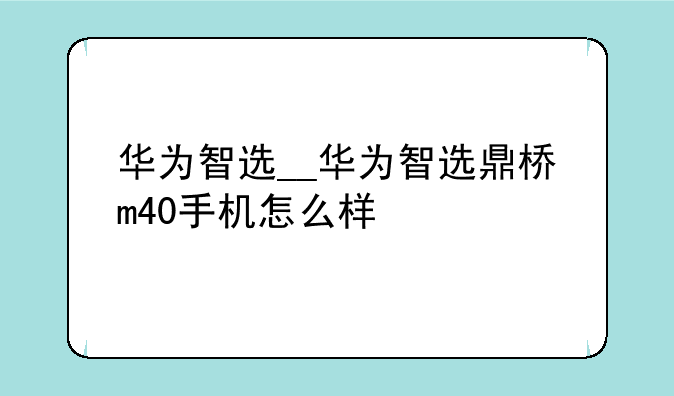 华为智选__华为智选鼎桥m40手机怎么样